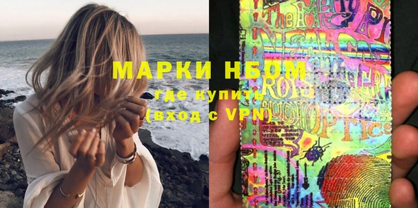 прущие грибы Балахна