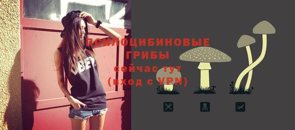 прущие грибы Балахна