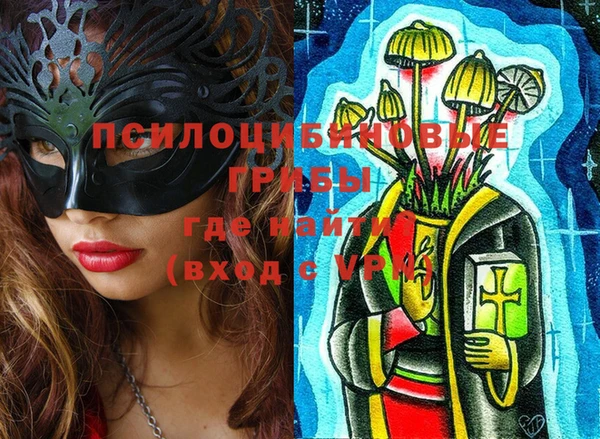 мдпв Куйбышев