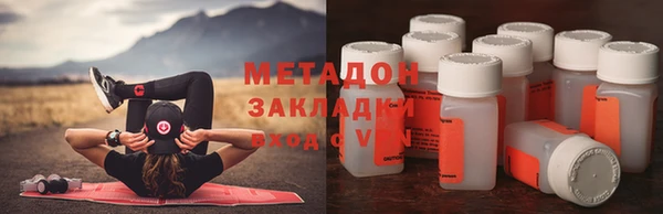 прущие грибы Балахна