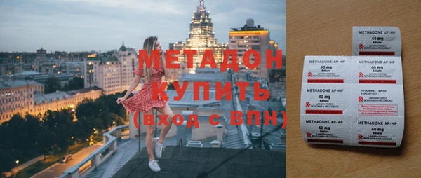 прущие грибы Балахна