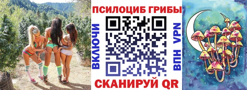 Псилоцибиновые грибы ЛСД Усть-Джегута