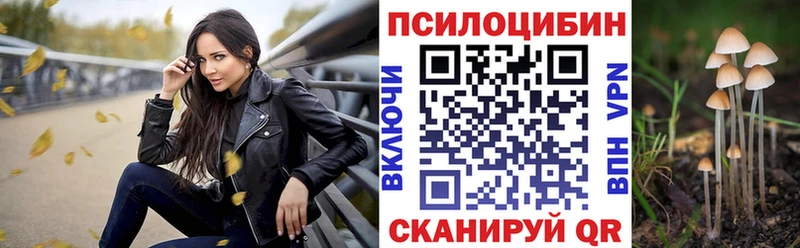 ссылка на мегу ССЫЛКА  Усть-Джегута  Псилоцибиновые грибы ЛСД 