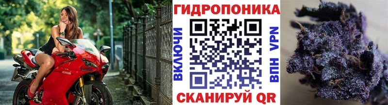 Каннабис марихуана  Усть-Джегута 